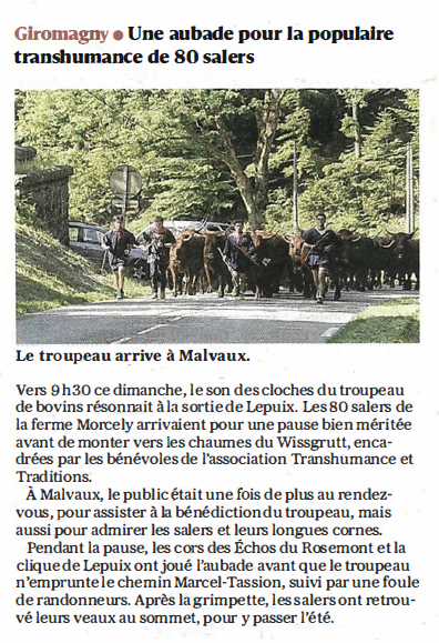 transumance